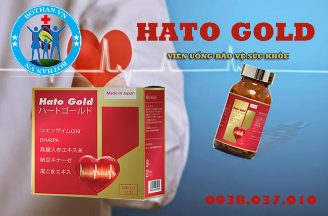hato-gold-29