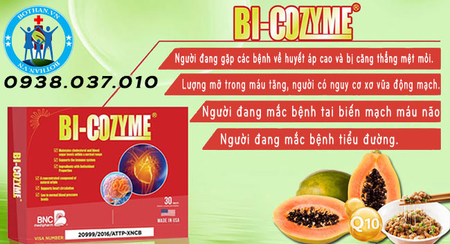 bi-cozyme--baner-bothan-1