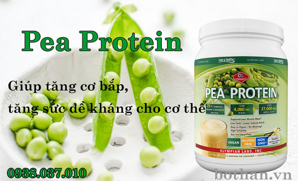 pea-protein-1