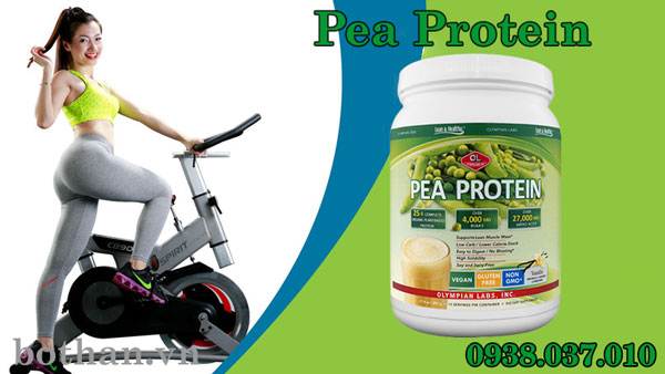 pea-protein-3