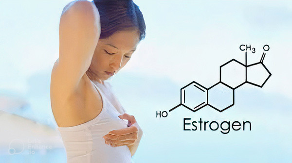Bầu ngực to hay nhỏ là do sự tăng hay giảm estrogen